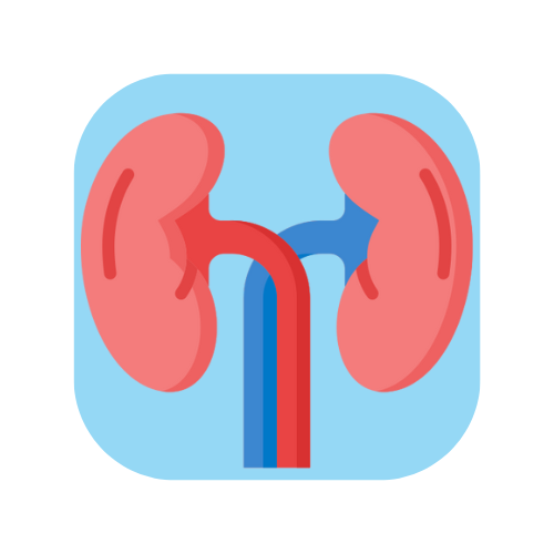 Estimation of Kidney Function