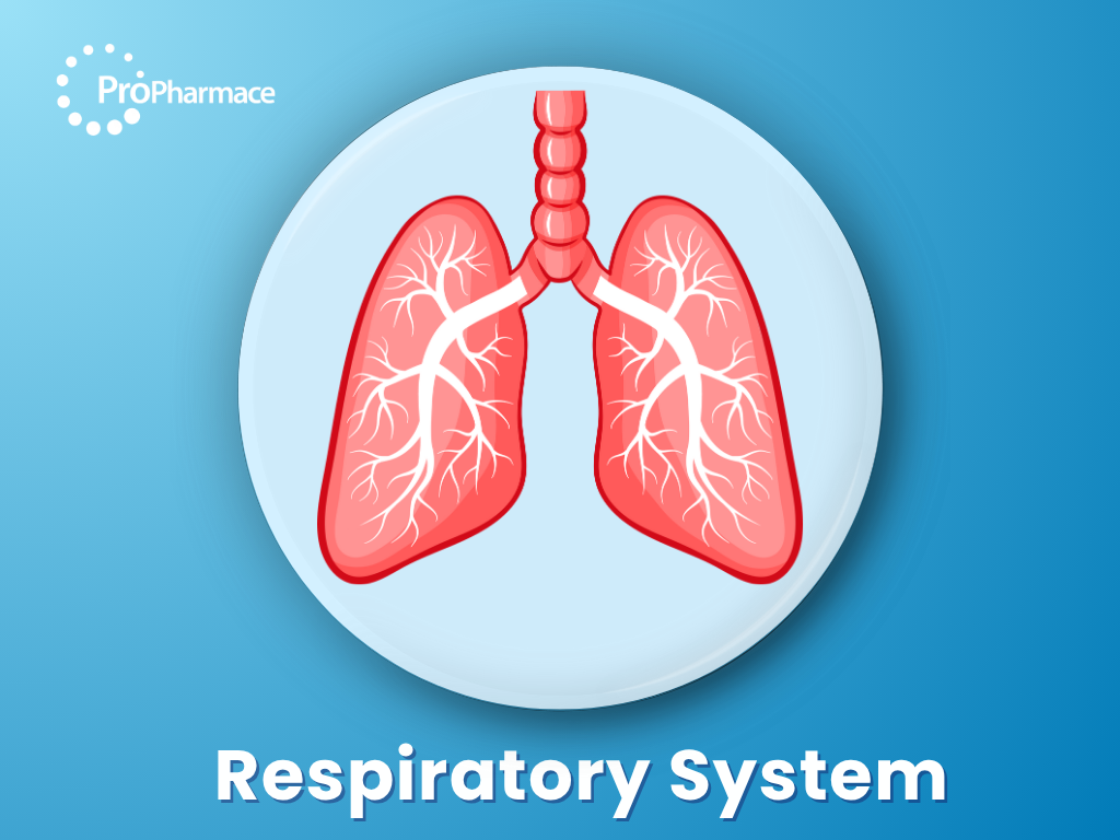 Respiratory System