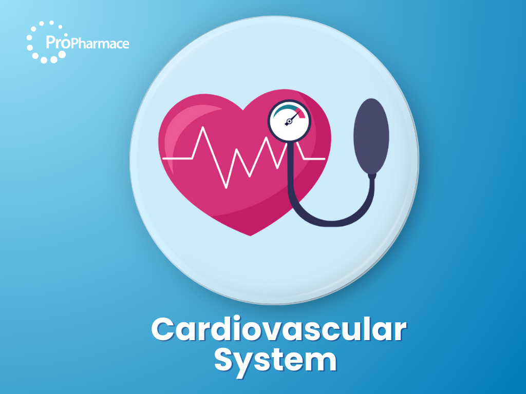 Cardiovascular System