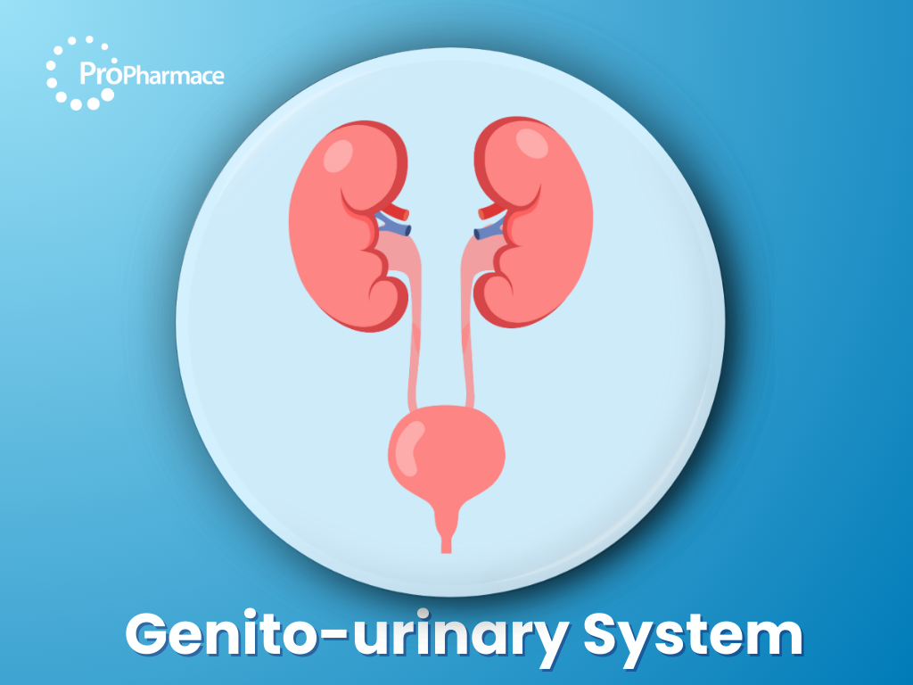 Genito-urinary System
